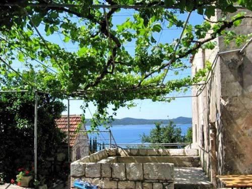 Photo of Others in Krucica