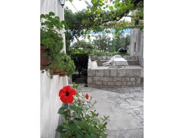 Photo of Others in Krucica