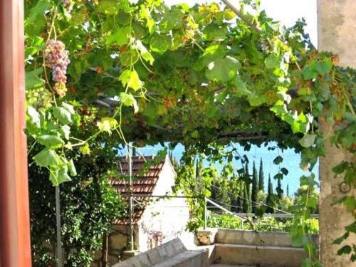 Photo of Patio Balcony in Krucica
