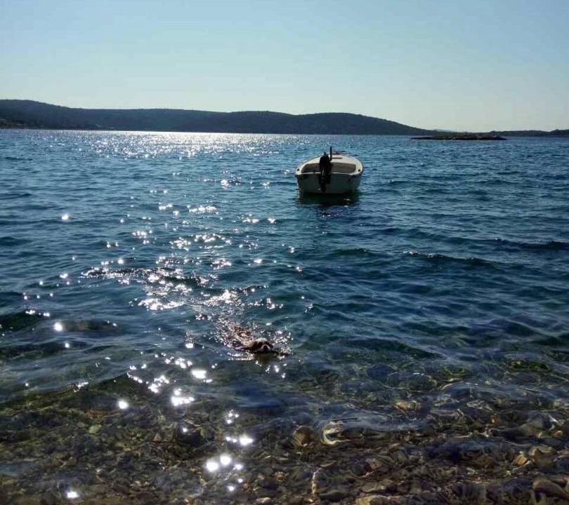 Photo of Outdoor in Sevid