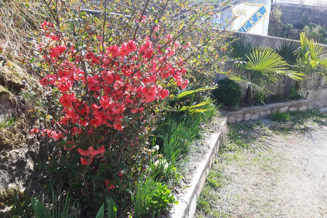 Photo of Others in Pasjak