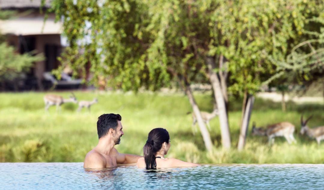 Photo of Others in Sir Bani Yas Island