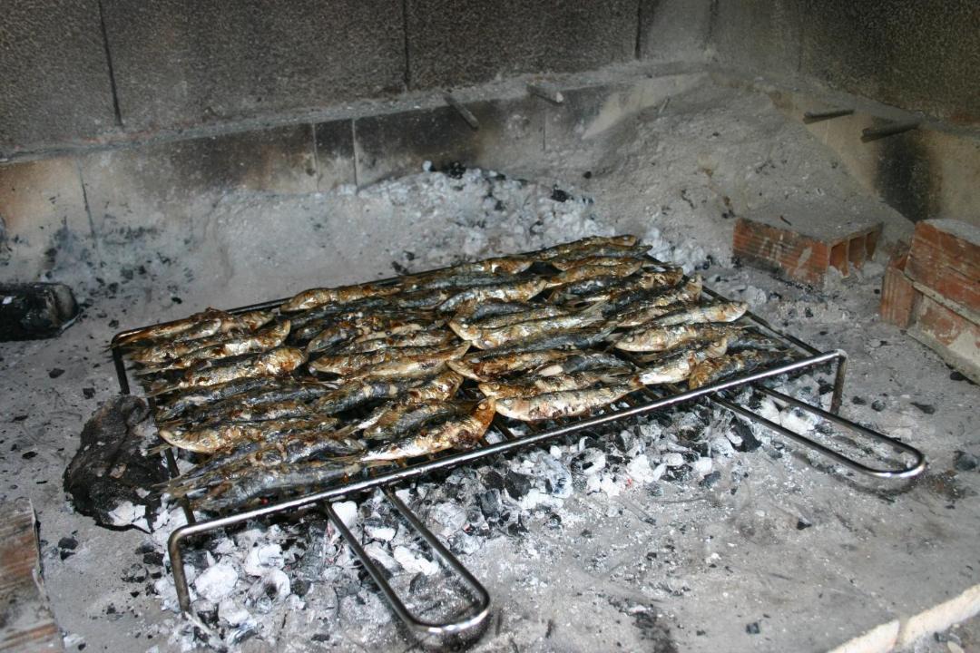 Photo of Others in Mljet