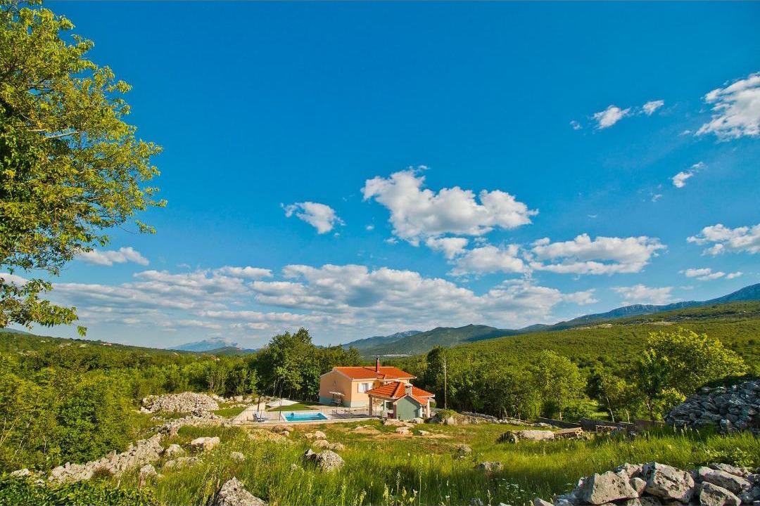 Photo of Others in Srijane