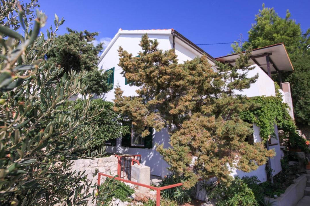 Photo of Buildings in Zarace