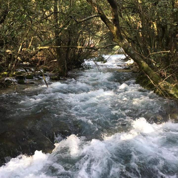 Photo of Others in Konavle