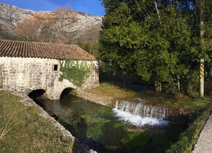Photo of Others in Konavle