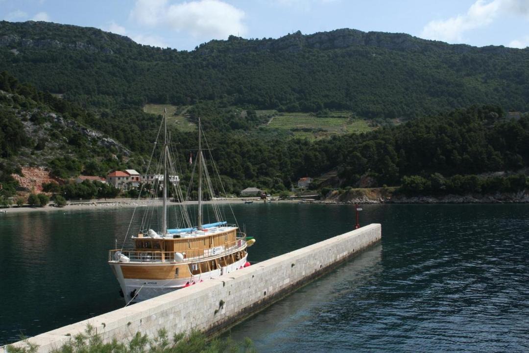 Photo of Others in Trstenik