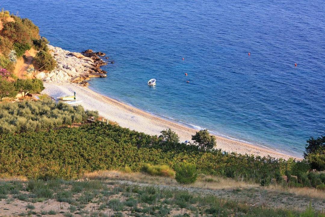Photo of Others in Nerezise