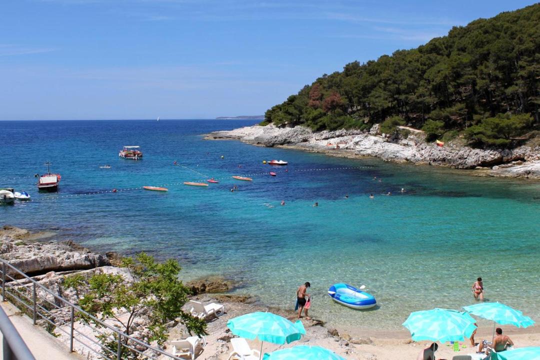 Photo of Others in Cove Murtar