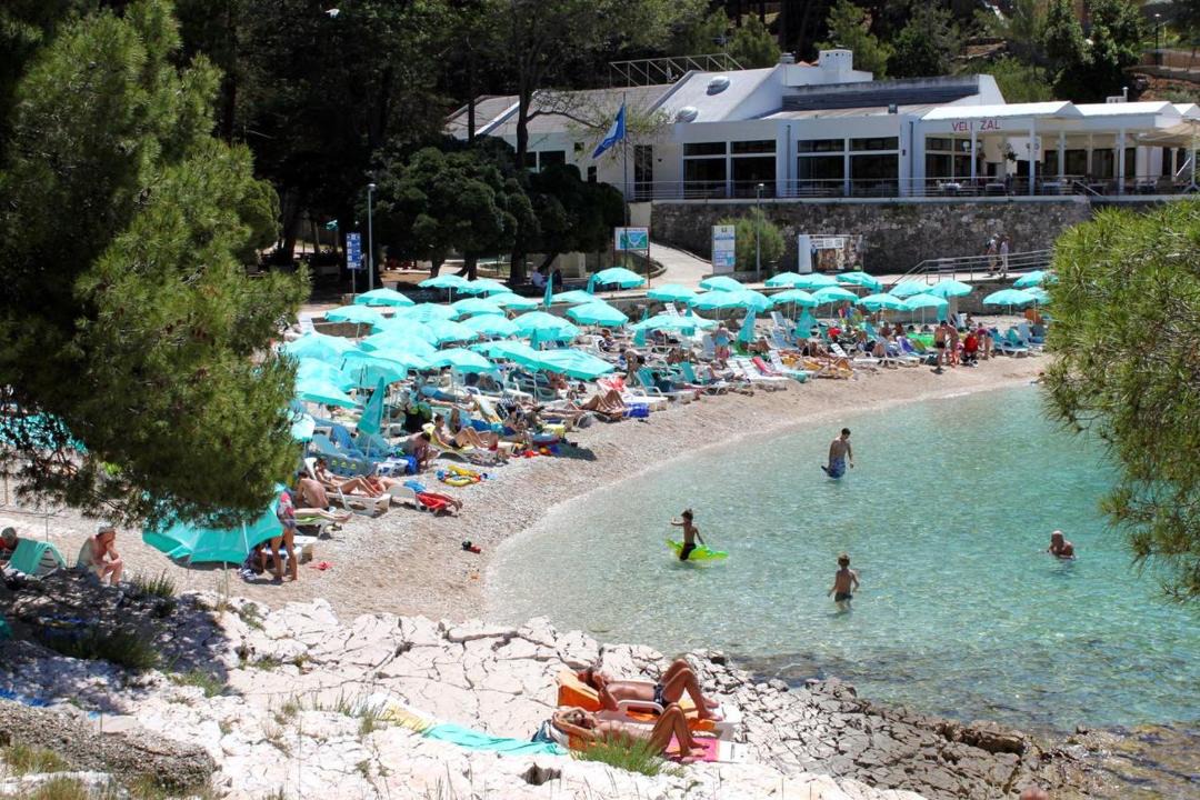 Photo of Others in Cove Murtar