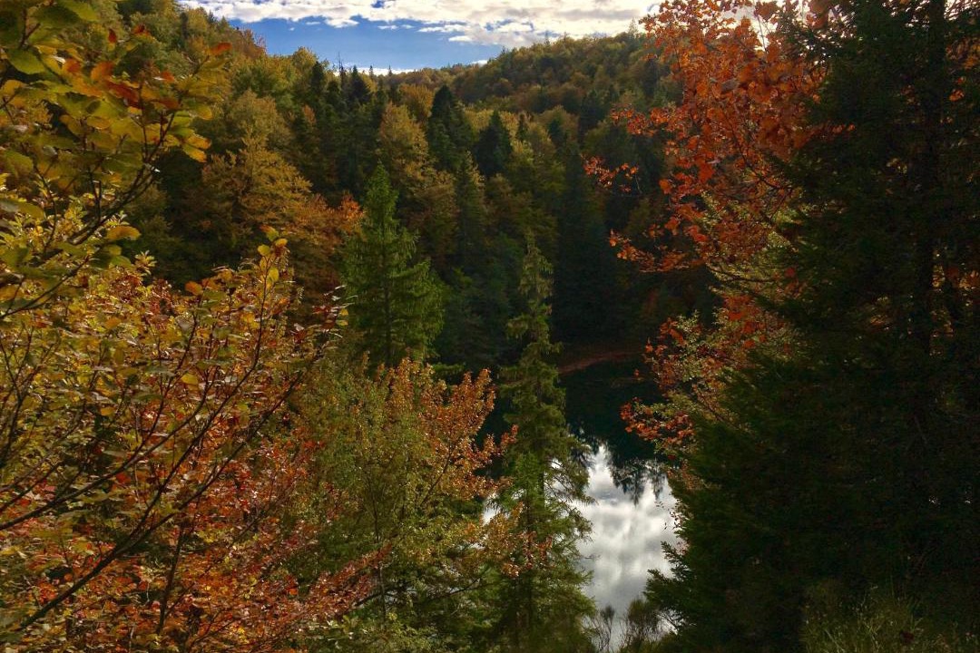 Photo of Others in Plitvica Selo