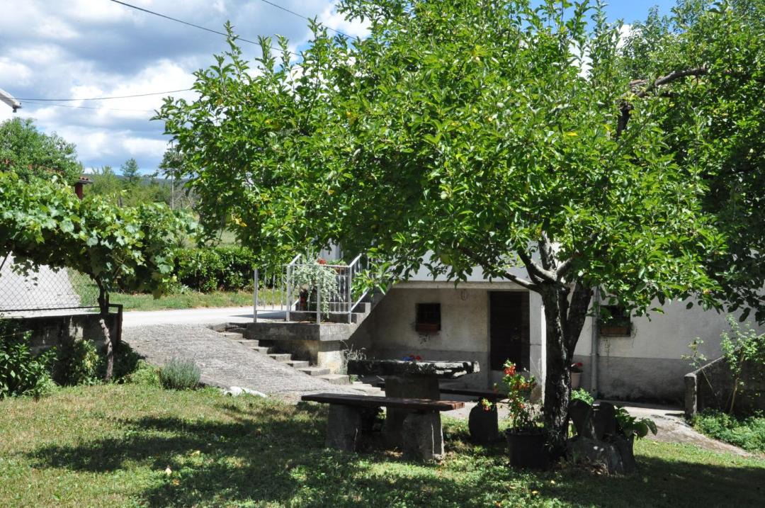 Photo of Others in Buzet