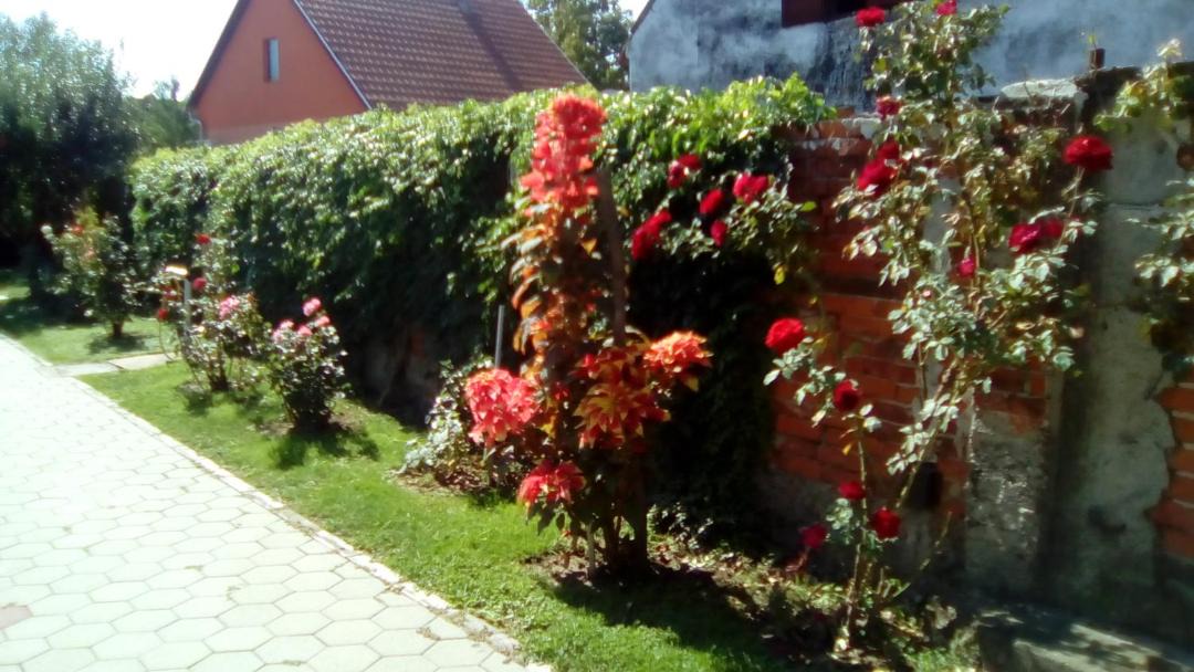 Photo of Others in Dakovo
