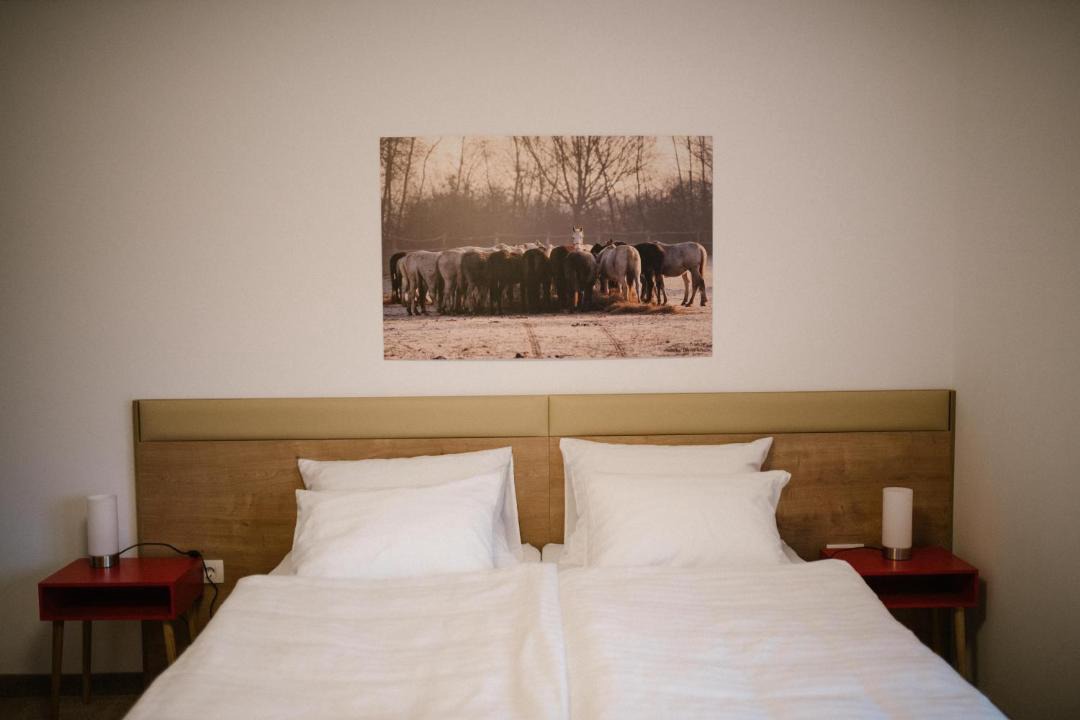 Photo of Bedroom in Dakovo