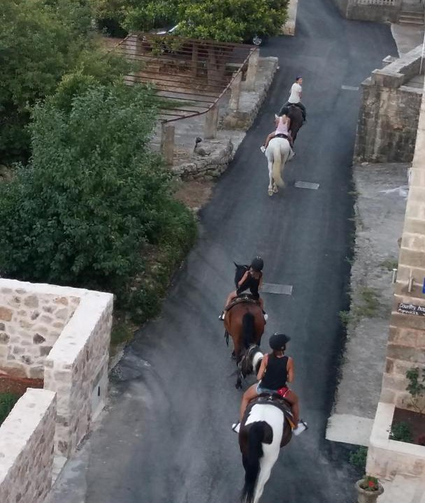 Photo of Others in Popovici