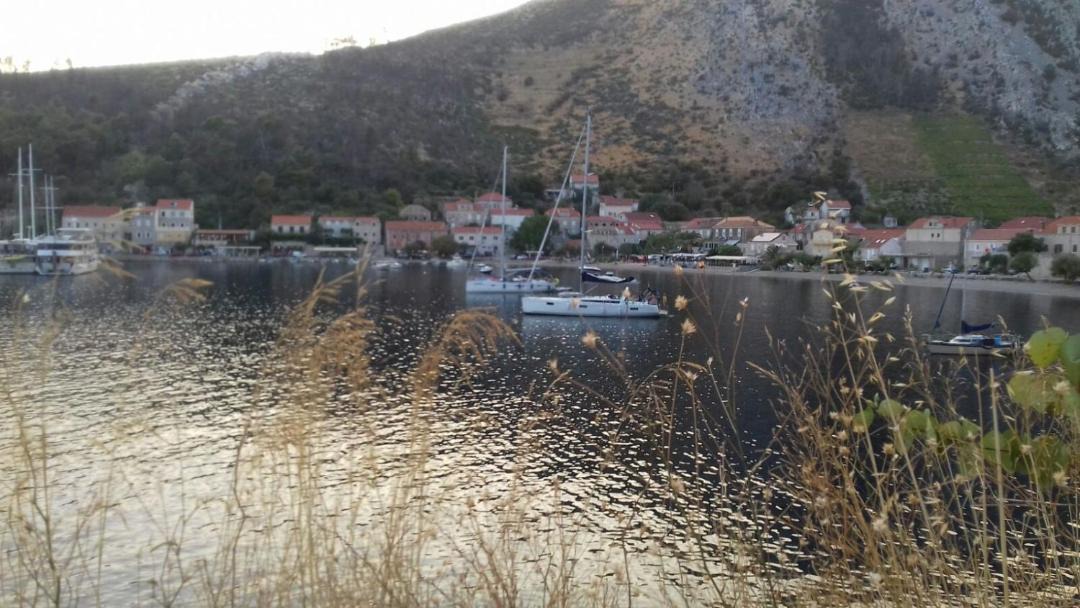 Photo of Others in Trstenik