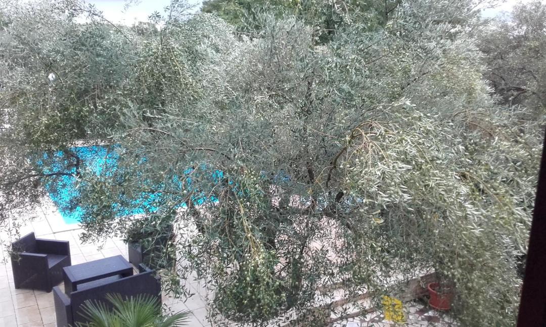 Photo of Others in Vabriga