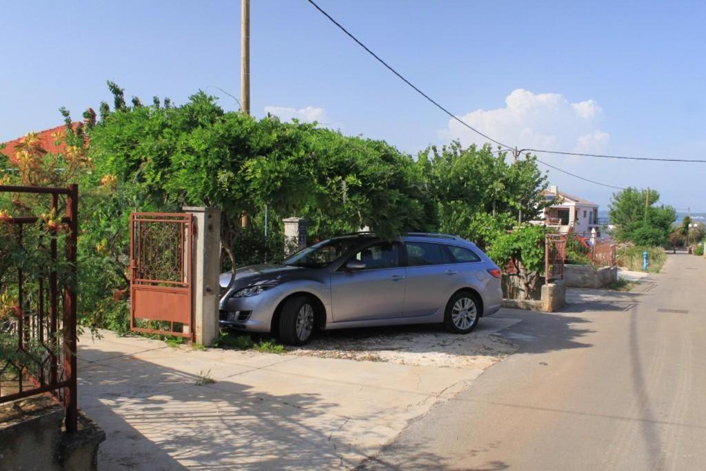 Photo of Others in Ugljan