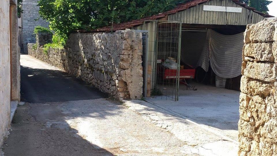 Photo of Others in Island Hvar