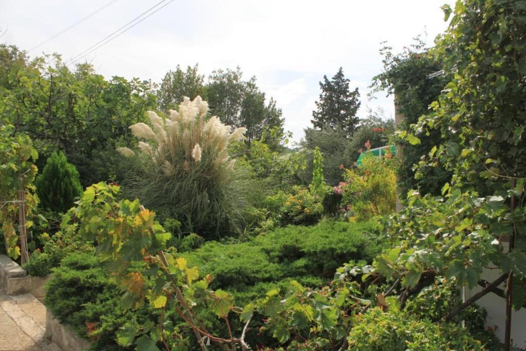 Photo of Outdoor in Lukoran
