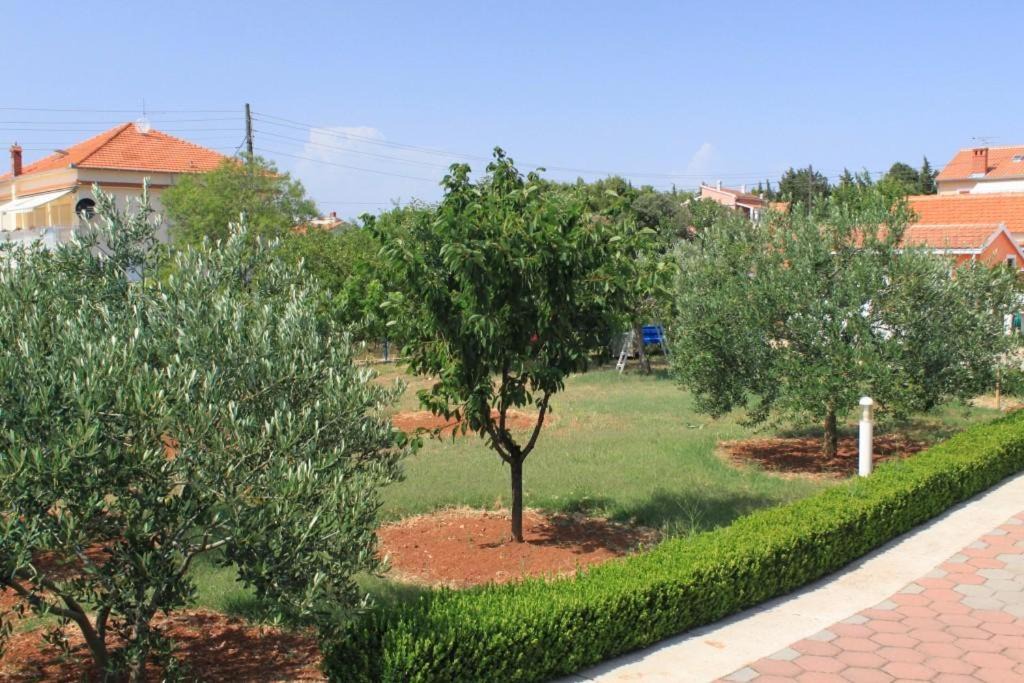 Photo of Outdoor in Susica
