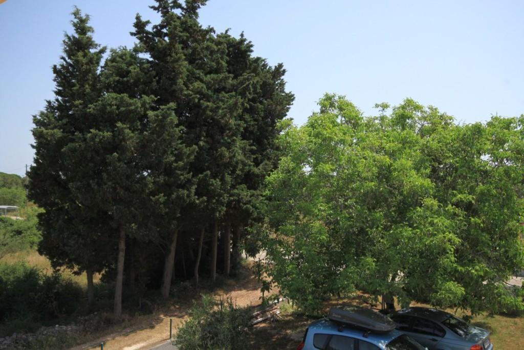 Photo of Outdoor in Susica