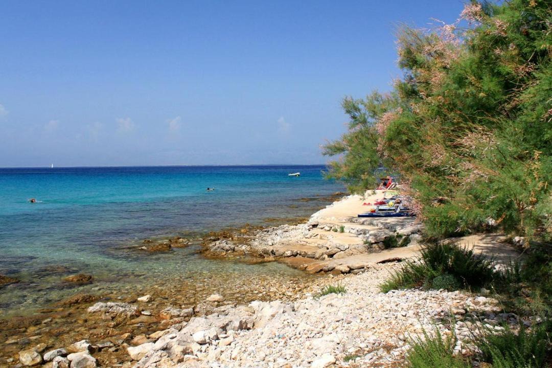 Photo of Outdoor in Susica