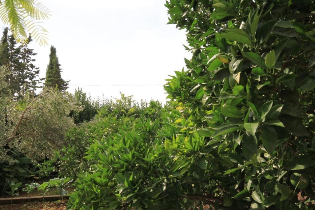 Photo of Outdoor in Lukoran