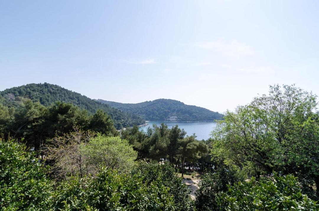 Photo of Others in Saplunara