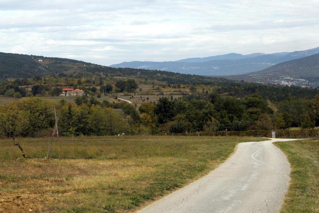 Photo of Others in Polje Cepic