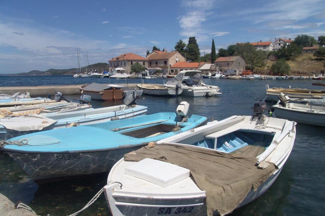Photo of Others in Luka