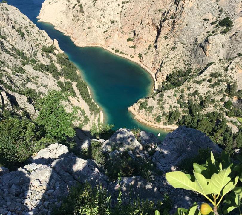 Photo of Others in Stinica