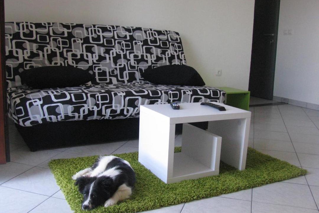 Photo of Others in Supetarska Draga