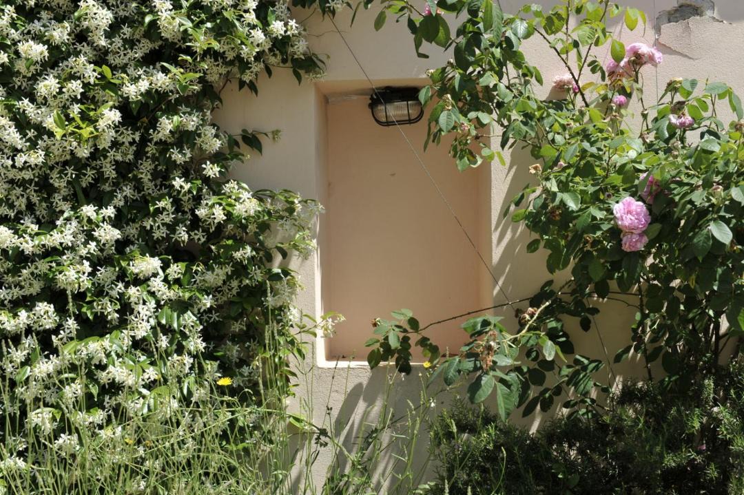 Photo of Others in Dragove