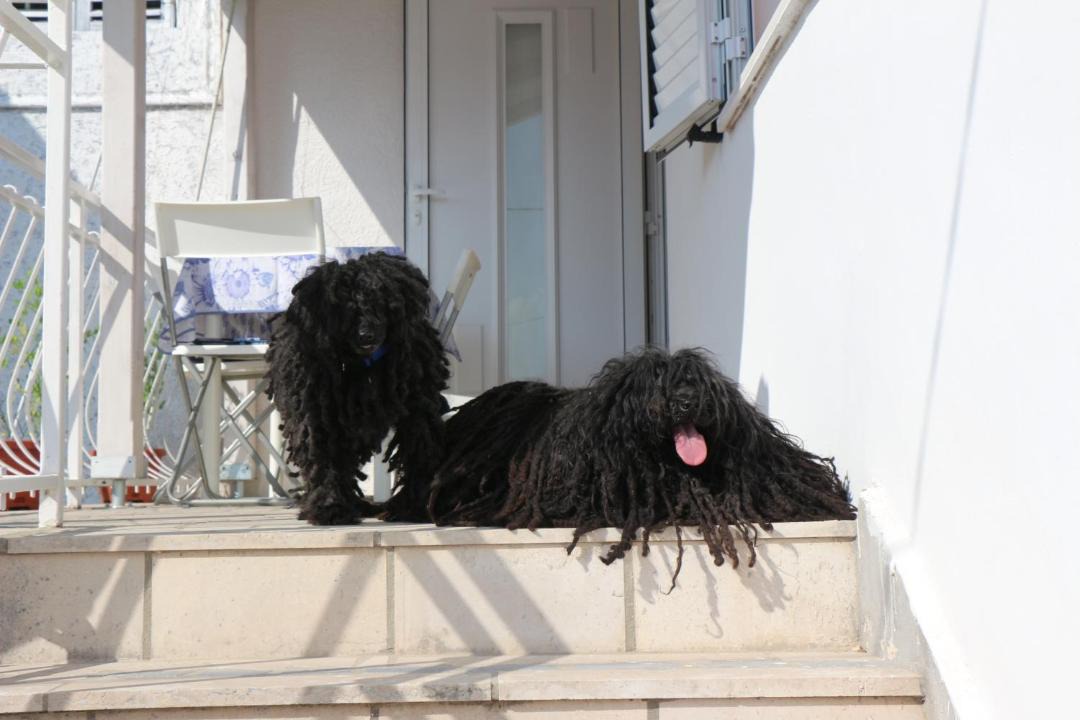 Photo of Others in Jadranovo