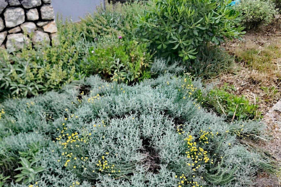 Photo of Outdoor in Artatore