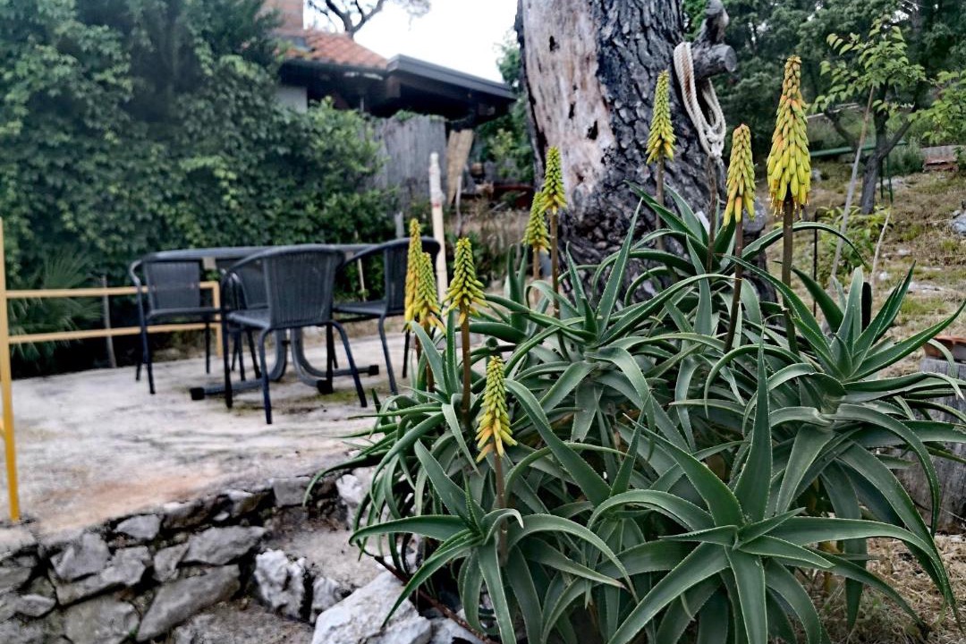 Photo of Patio Balcony in Artatore