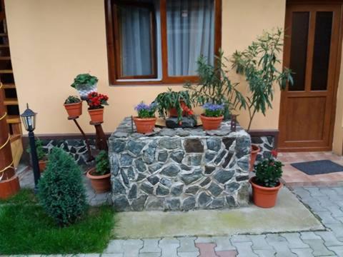 Photo of Others in Cartisoara