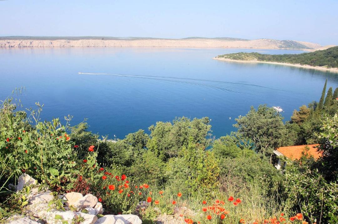 Photo of Others in Jadranovo