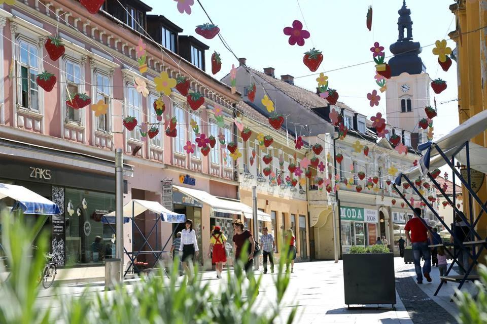 Photo of Others in Cakovec