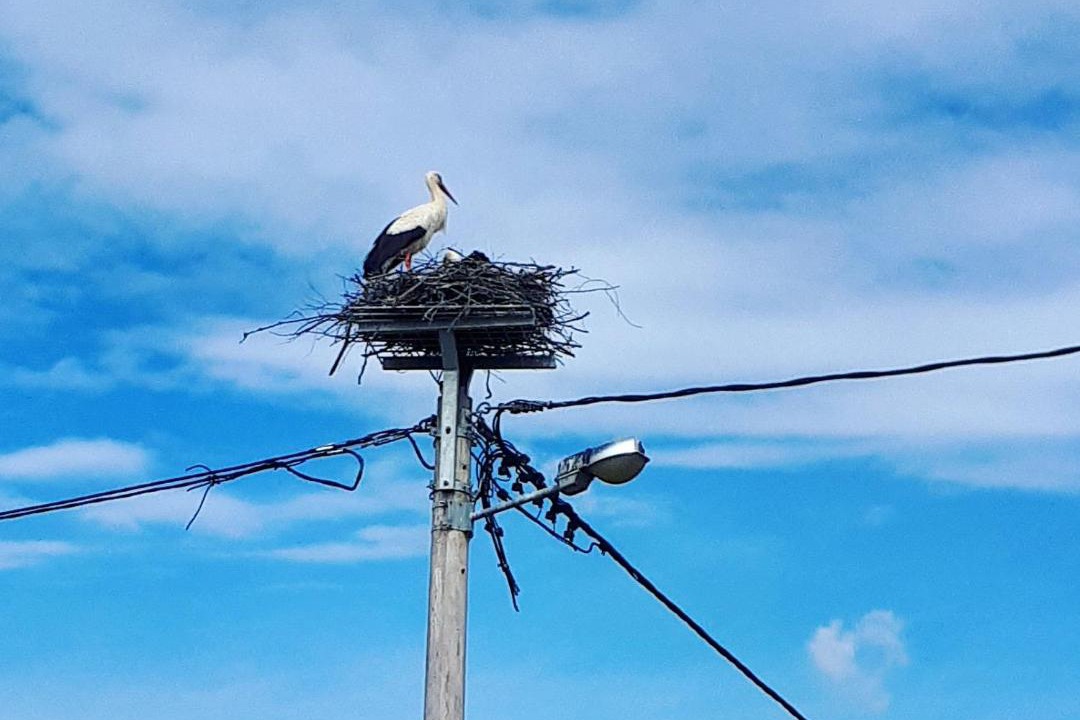 Photo of Others in Tusilovic