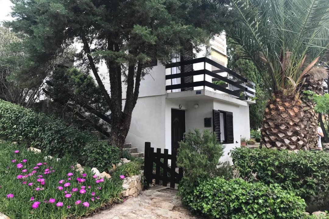 Photo of Others in Molat