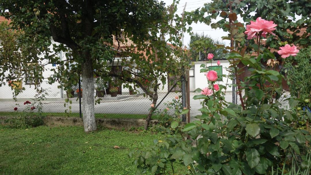 Photo of Others in Sveti Kriz Zacretje