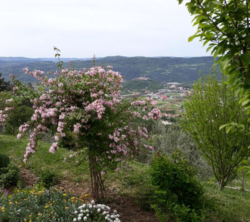 Photo of Others in Sveti Martin