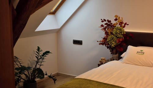 Premium Suite, 1 Bedroom, Courtyard Area