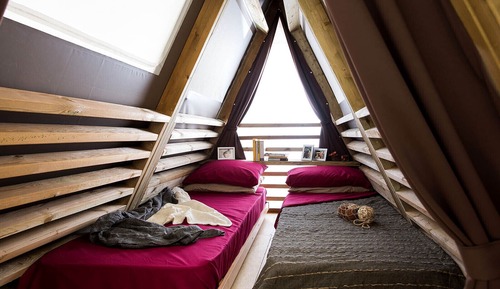 Premium Tent