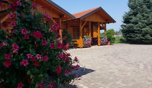 Family Bungalow, 1 Bedroom, Balcony, Courtyard Area