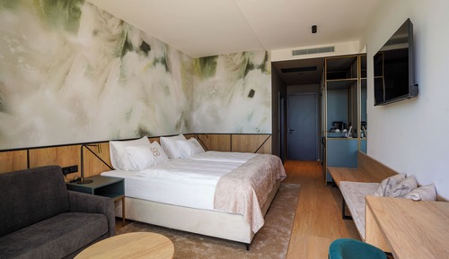 Premium Double or Twin Room