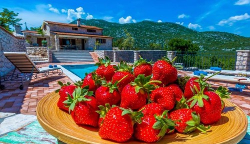 Villa (Rustic Haven Villa with swimming pool)